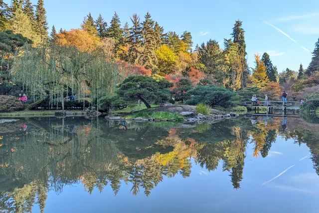 A mirror-still pond in the Seattle Japanese Garden reflecting orange, red and yellow autumn trees, with a weeping willow and a small wooden bridge.